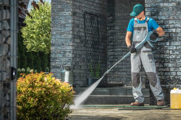 Best Gutter Cleaning  in Genoa, OH