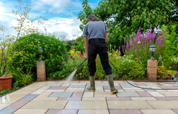 Professional  Pressure Washing Services in Genoa, OH
