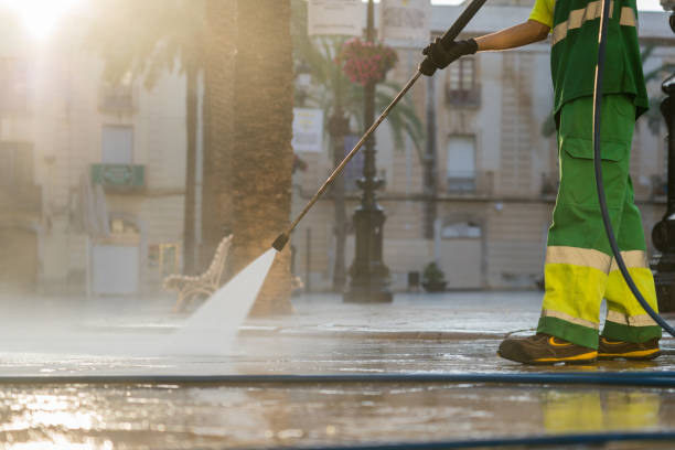 Best Sidewalk and Walkway Cleaning  in Genoa, OH